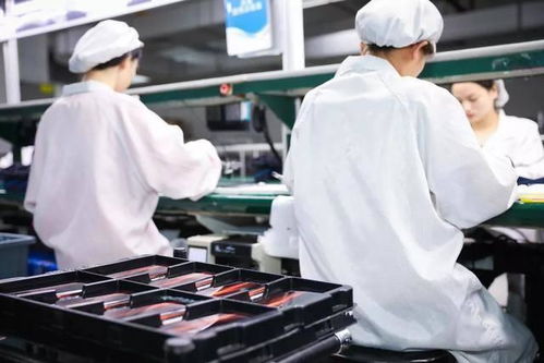 iQOO現貨供應引熱議，網友喊話小米加快節奏